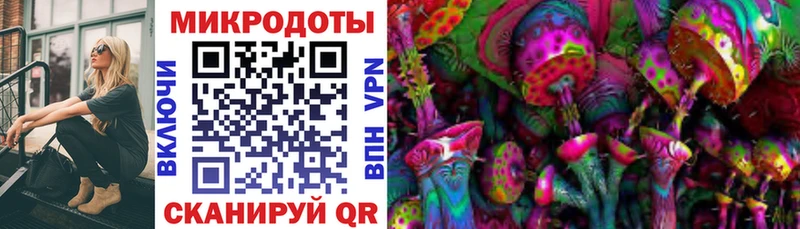 Псилоцибиновые грибы Cubensis  Купить  Тулун 