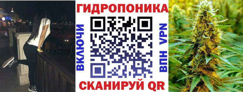Купить где  Тулун  Бошки марихуана ГИДРОПОН 